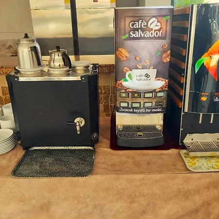 Celeste פאטהיה