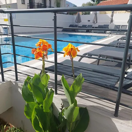 Celeste * פאטהיה